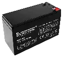 Bateria Evershining 12V 7Ah_03.webp